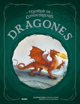 TESOROS DE CONOCIMIENTO. DRAGONES | 9791387881191 | KENNY, GONZALO/CALDWELL, STELLA | Galatea Llibres | Llibreria online de Reus, Tarragona | Comprar llibres en català i castellà online
