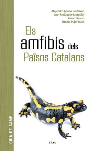 ELS AMFIBIS DELS PAÏSOS CATALANS | 9788418096341 | GARCÍA SALMERÓN, ALEJANDRO/MALUQUER MARGALEF, JOAN/RIVERA MULA, XAVIER/PUJOL BUXÓ, EUDALD | Galatea Llibres | Librería online de Reus, Tarragona | Comprar libros en catalán y castellano online