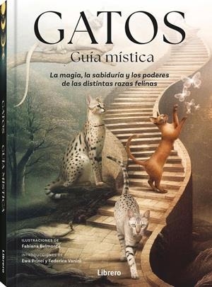 GATOS GUIA MISTICA | 9789464992007 | BELMONTE, FABIANA | Galatea Llibres | Librería online de Reus, Tarragona | Comprar libros en catalán y castellano online