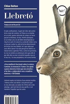 LLEBRETO | 9791387726393 | DALTON, CHLOE | Galatea Llibres | Llibreria online de Reus, Tarragona | Comprar llibres en català i castellà online