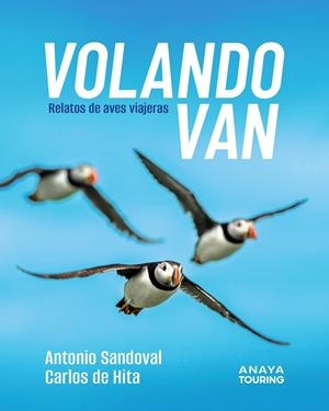 VOLANDO VAN | 9788491589303 | SANDOVAL REY, ANTONIO JUAN/HITA MORENO, CARLOS DE | Galatea Llibres | Librería online de Reus, Tarragona | Comprar libros en catalán y castellano online
