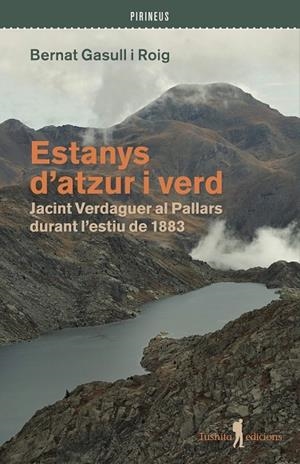 ESTANYS D'ATZUR I VERD | 9791399064094 | GASULL I ROIG, BERNAT | Galatea Llibres | Llibreria online de Reus, Tarragona | Comprar llibres en català i castellà online