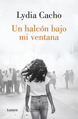 UN HALCÓN BAJO MI VENTANA | 9788426434210 | CACHO, LYDIA | Galatea Llibres | Librería online de Reus, Tarragona | Comprar libros en catalán y castellano online