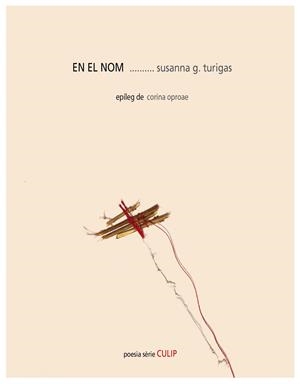 EN EL NOM | 9788481280968 | GONZÁLEZ TURIGAS, SUSANNA | Galatea Llibres | Llibreria online de Reus, Tarragona | Comprar llibres en català i castellà online