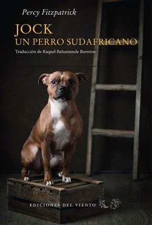 JOCK, UN PERRO SUDAFRICANO | 9788418227615 | FITZPATRICK, J. PERCY | Galatea Llibres | Librería online de Reus, Tarragona | Comprar libros en catalán y castellano online