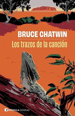 LOS TRAZOS DE LA CANCIÓN | 9788411005234 | CHATWIN, BRUCE | Galatea Llibres | Llibreria online de Reus, Tarragona | Comprar llibres en català i castellà online