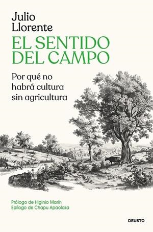 EL SENTIDO DEL CAMPO | 9788423440283 | LLORENTE, JULIO | Galatea Llibres | Llibreria online de Reus, Tarragona | Comprar llibres en català i castellà online