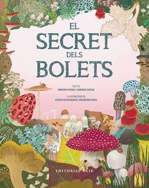 EL SECRET DELS BOLETS | 9791387728502 | PICOCO, GINEVRA/COCCHI, LORENZO | Galatea Llibres | Llibreria online de Reus, Tarragona | Comprar llibres en català i castellà online