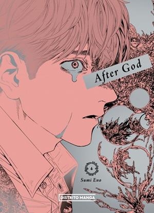 AFTER GOD 6 | 9788410305939 | ENO, SUMI | Galatea Llibres | Librería online de Reus, Tarragona | Comprar libros en catalán y castellano online