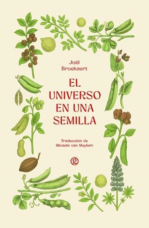 EL UNIVERSO EN UNA SEMILLA | 9788419990839 | BROEKAERT, JOËL | Galatea Llibres | Llibreria online de Reus, Tarragona | Comprar llibres en català i castellà online
