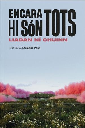 ENCARA HI SÓN TOTS | 9788419059598 | NÍ CHUINN, LIADAN | Galatea Llibres | Llibreria online de Reus, Tarragona | Comprar llibres en català i castellà online