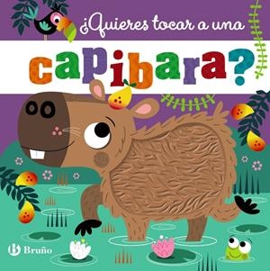 ¿QUIERES TOCAR A UNA CAPIBARA? | 9788469646618 | JENKINS, CARA | Galatea Llibres | Llibreria online de Reus, Tarragona | Comprar llibres en català i castellà online