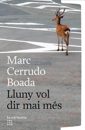 LLUNY VOL DIR MAI MÉS | 9791387800260 | CERRUDO BOADA, MARC | Galatea Llibres | Llibreria online de Reus, Tarragona | Comprar llibres en català i castellà online