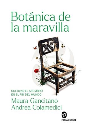 BOTÁNICA DE LA MARAVILLA | 9791399206241 | COLAMEDICI, ANDREA/GANCITANO, MAURA | Galatea Llibres | Librería online de Reus, Tarragona | Comprar libros en catalán y castellano online
