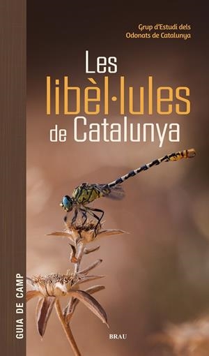 LES LIBÈL·LULES DE CATALUNYA | 9791387701178 | GRUP D'ESTUDIS DELS ODONATS DE CATALUNYA | Galatea Llibres | Llibreria online de Reus, Tarragona | Comprar llibres en català i castellà online