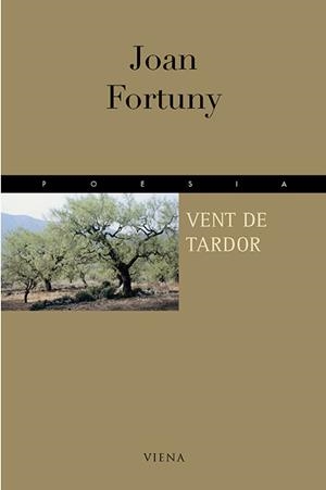 VENT DE TARDOR | 9788483301609 | FORTUNY, JOAN | Galatea Llibres | Llibreria online de Reus, Tarragona | Comprar llibres en català i castellà online