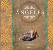ANGELES. SABIDURIA, INTROSPECCION, GUIA | 9788498011791 | ROSS, DAVID | Galatea Llibres | Llibreria online de Reus, Tarragona | Comprar llibres en català i castellà online