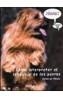 COMO INTERPRETAR EL LENGUAJE DE LOS PERROS | 9788493265984 | DE MIGUEL, JAVIER | Galatea Llibres | Llibreria online de Reus, Tarragona | Comprar llibres en català i castellà online