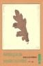 ANTOLOGIA DE POETAS SUICIDAS | 9788488020383 | GALLERO, JOSE LUIS | Galatea Llibres | Librería online de Reus, Tarragona | Comprar libros en catalán y castellano online