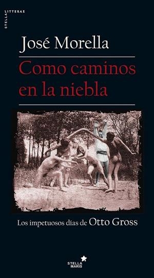 COMO CAMINOS EN LA NIEBLA | 9788416541348 | MORELLA, JOSÉ | Galatea Llibres | Llibreria online de Reus, Tarragona | Comprar llibres en català i castellà online