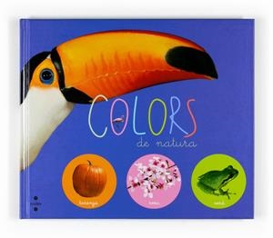 COLORS DE LA NATURA, ELS | 9788466118149 | ÉDITIONS PLAY BAC, | Galatea Llibres | Librería online de Reus, Tarragona | Comprar libros en catalán y castellano online