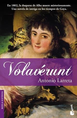 VOLAVERUNT | 9788408078968 | LARRETA, ANTONIO | Galatea Llibres | Llibreria online de Reus, Tarragona | Comprar llibres en català i castellà online