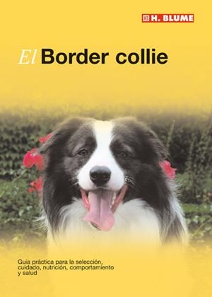 BORDER COLLIE, EL | 9788496669116 | Galatea Llibres | Llibreria online de Reus, Tarragona | Comprar llibres en català i castellà online