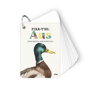 FIXA-T'HI: AUS | 9788410407640 | SANJUAN LLORENS, ANNA/BAUCELLS COLOMER, RAMON | Galatea Llibres | Llibreria online de Reus, Tarragona | Comprar llibres en català i castellà online