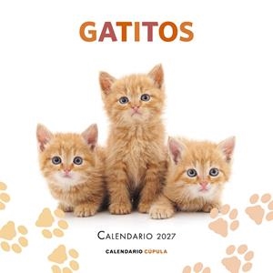 CALENDARIO GATITOS 2027 | 9788448049300 | AA. VV. | Galatea Llibres | Librería online de Reus, Tarragona | Comprar libros en catalán y castellano online