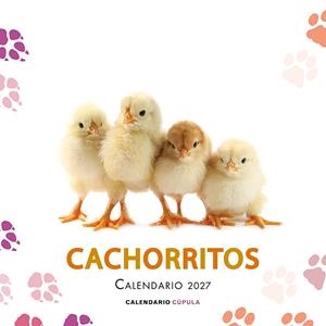 CALENDARIO CACHORRITOS 2027 | 9788448049317 | AA. VV. | Galatea Llibres | Librería online de Reus, Tarragona | Comprar libros en catalán y castellano online