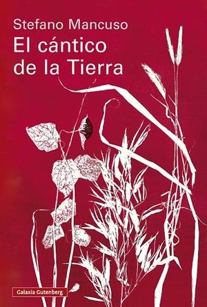 EL CÁNTICO DE LA TIERRA | 9791388019845 | MANCUSO, STEFANO | Galatea Llibres | Llibreria online de Reus, Tarragona | Comprar llibres en català i castellà online