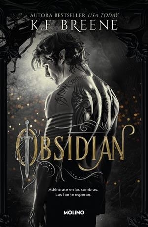 LOS FAE DE LAS SOMBRAS 1 - OBSIDIAN | 9788427257290 | BREENE, K.F. | Galatea Llibres | Librería online de Reus, Tarragona | Comprar libros en catalán y castellano online