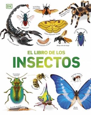 EL LIBRO DE LOS INSECTOS | 9780241839386 | DK | Galatea Llibres | Librería online de Reus, Tarragona | Comprar libros en catalán y castellano online