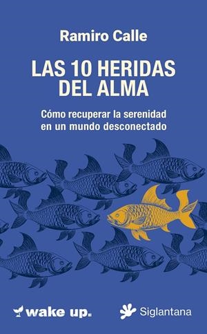 LAS 10 HERIDAS  DEL ALMA CÓMO RECUPERAR LA SERENIDAD  EN UN MUNDO DESCONECTADO | 9788410179745 | CALLE, RAMIRO | Galatea Llibres | Llibreria online de Reus, Tarragona | Comprar llibres en català i castellà online