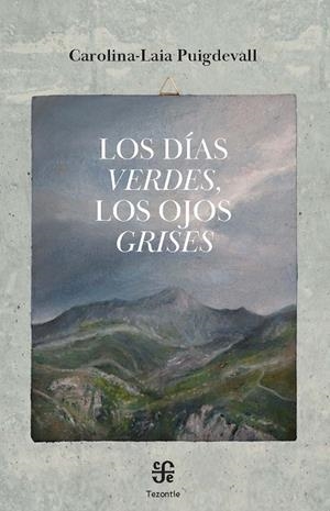 LOS DÍAS VERDES, LOS OJOS GRISES | 9788437508658 | PUIGDEVALL CLAVER, CAROLINA-LAIA | Galatea Llibres | Llibreria online de Reus, Tarragona | Comprar llibres en català i castellà online