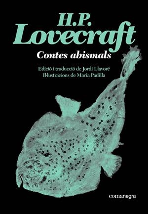 CONTES ABISMALS | 9791387969530 | LOVECRAFT, H. P. | Galatea Llibres | Llibreria online de Reus, Tarragona | Comprar llibres en català i castellà online