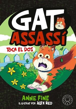 DIARI D’UN GAT ASSASSÍ. TOCA EL DOS. | 9791388154584 | FINE, ANNE | Galatea Llibres | Llibreria online de Reus, Tarragona | Comprar llibres en català i castellà online