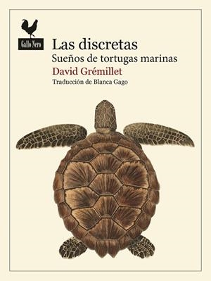 LAS DISCRETAS | 9788419168986 | GRÉMILLET, DAVID | Galatea Llibres | Librería online de Reus, Tarragona | Comprar libros en catalán y castellano online