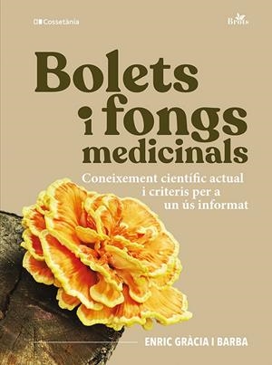 BOLETS I FONGS MEDICINALS | 9788413566313 | GRÀCIA I BARBA, ENRIC | Galatea Llibres | Llibreria online de Reus, Tarragona | Comprar llibres en català i castellà online
