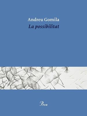 LA POSSIBILITAT | 9791388369155 | GOMILA LLOBERA, ANDREU | Galatea Llibres | Librería online de Reus, Tarragona | Comprar libros en catalán y castellano online