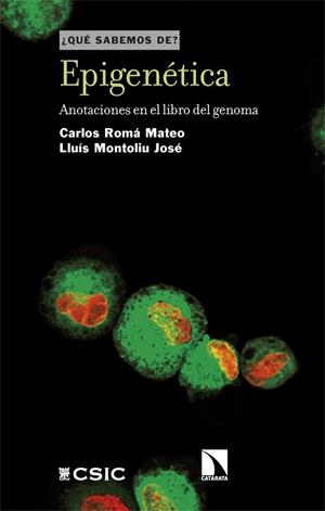 EPIGENÉTICA | 9788410677401 | ROMÁ MATEO, CARLOS/MONTOLIU JOSÉ, LLUÍS | Galatea Llibres | Librería online de Reus, Tarragona | Comprar libros en catalán y castellano online
