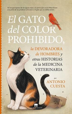 EL GATO DEL COLOR PROHIBIDO, LA DEVORADORA DE HOMBRES Y OTRAS HISTORIAS DE LA ME | 9791387941314 | CUESTA, ANTONIO | Galatea Llibres | Librería online de Reus, Tarragona | Comprar libros en catalán y castellano online