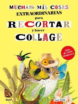 MUCHAS MÁS COSAS EXTRAORDINARIAS PARA RECORTAR Y HACER COLLAGE | 9791388023897 | HODGE, SUSIE | Galatea Llibres | Llibreria online de Reus, Tarragona | Comprar llibres en català i castellà online
